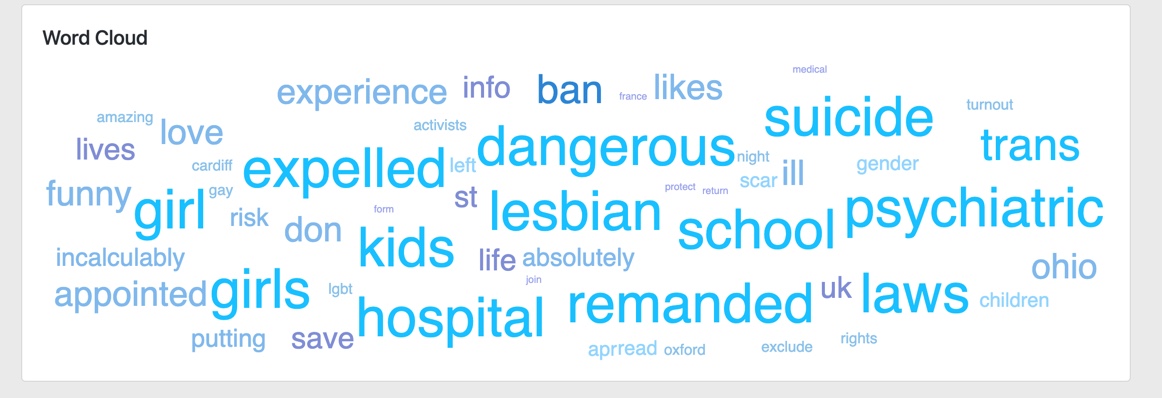 word cloud generated from the research